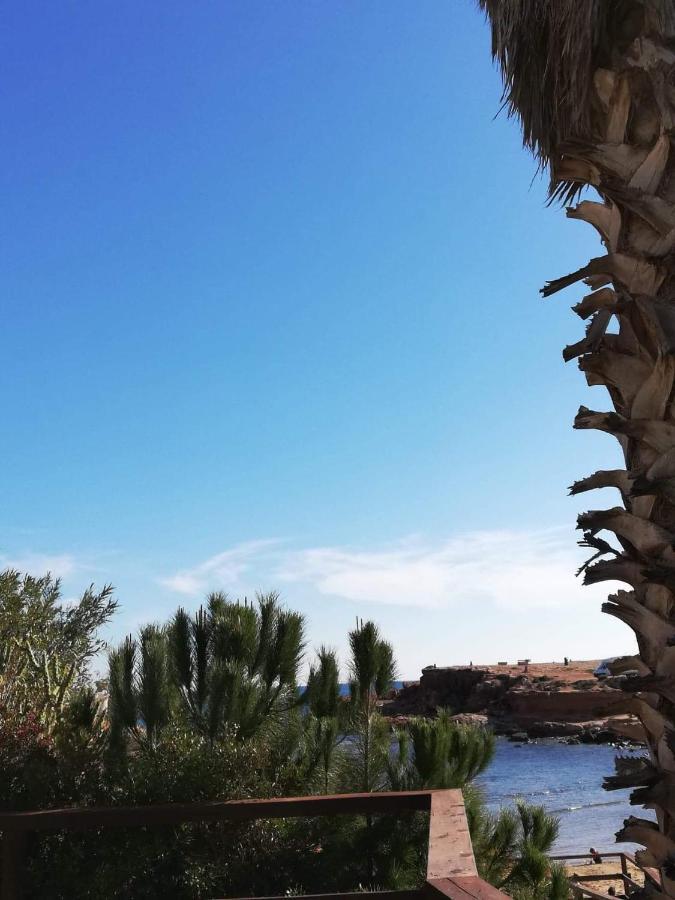 Perfect For Exploring Local Areas And More Torrevieja Exteriör bild