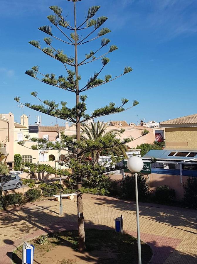 Perfect For Exploring Local Areas And More Torrevieja Exteriör bild